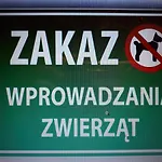 Przy Chopina Głogów
